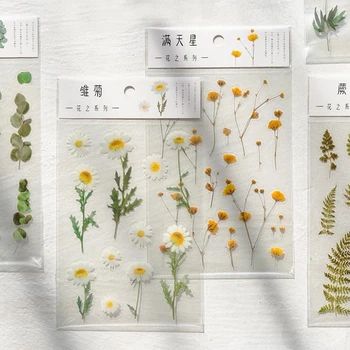 12 Дизайнов, наклейки с натуральными ромашками и Клевером, японские слова, Прозрачный материал из ДОМАШНИХ ЖИВОТНЫХ, Цветы, Листья, растения, Декоративные наклейки, Дневник 